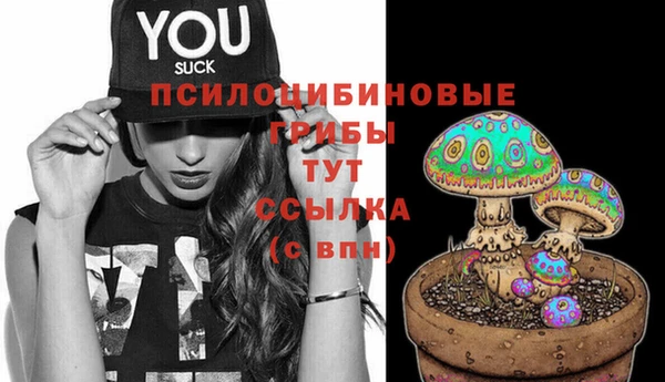 a pvp Михайловск